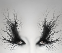 Two artistic female eyes with decoration of  branches around them as a make up in a light grey background
