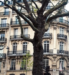 houses on french streets of Paris. citylife concept. regular view