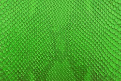 Green python snake skin texture background.