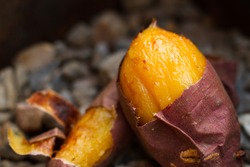 Diet and Healthy food of Delicious Baked sweet potato, Famous snack at Japan on Autumn and Winter season.