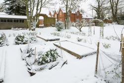 Large vegetable garden covered in snow in winter, England UK