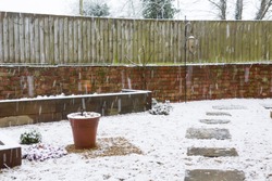 Snow falling on an English garden in winter, UK