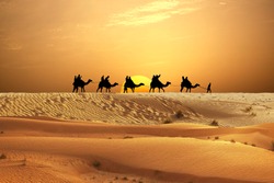 Desert adventure with camels ride and travellers on sand dunes 
                           