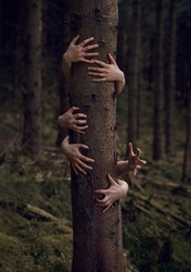 Creepy Conceptual Hands Grabbing Tree In Horror Forest 