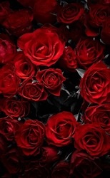 Dark red roses abstract flowers background