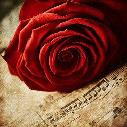 Red rose on vintage music sheets