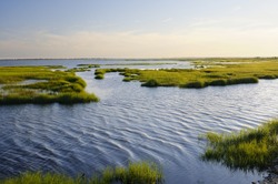 Ocean Inlet with Marsh Grass