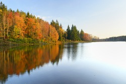 Vivid Colors of Fall Trees Reflecting in Lake