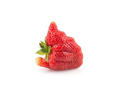 Ugly organic home grown strawberry isolated on white background.Trendy ugly food.Strange funny imperfect fruit .Misshapen produce, food waste concept. Top view, copy space.