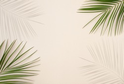 Tropical palm leafs and shadows over pastel beige  color  background. Minimal summer concept with palm tree leafs and sunlight shadows.
