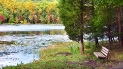 Wooden Bench on the Bank - Free Stock Photo by Pixabay on Stockvault.net