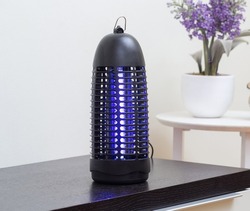 Electric mosquito and insect killer with violet light in living room