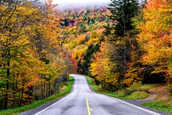 Autumn, Monongahela National Forest, US Route 250, West Virginia, USA