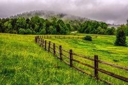Tea Creek Meadow, buttercups and rail fence along the Highland Scenic Highway, a National Scenic Byway in Pocahontas County, West Virginia, USA