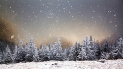 christmas and New Year background with winter trees in mountains covered with fresh snow - Magic holiday background