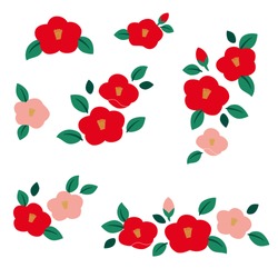 Camellia flower illustration set