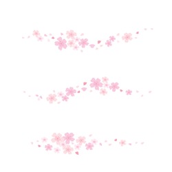 Vector cherry blossom petals border illustration set