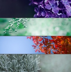 Four Seasons Banners Set. Collection of Spring Summer autumn and Winter natural backgrounds in wide format with blurred copy space.