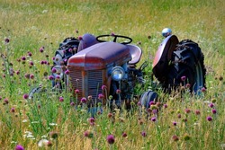 Old red tractor in field with flowers abandoned as antique vintage farm machine