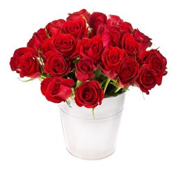 bouquet of red roses in a white bucket isolated on white background