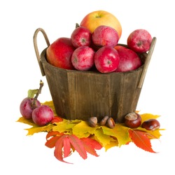 apple and autumn leaves isolated on white background