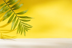 Minimal modern product display on textured gray and yellow background with fresh palm leaves and shadows