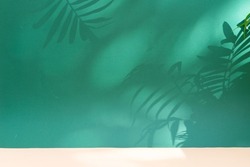 Minimal modern product display on deep green background with palm leaves shadow overlay