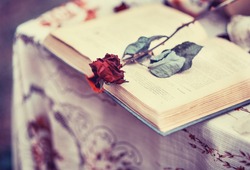 Old book, and a dried red rose, vintage, loneliness, memories, romance, historical romance, closeup