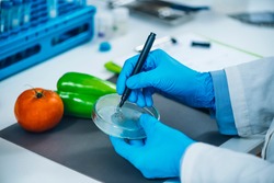 Food safety and quality analysis in a specialized microbiology laboratory, microbiologist working with fruit and vegetable samples