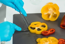 Quality control food safety inspector working with vegetables in a laboratory
