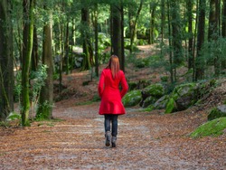 Young woman walking away alone on forest path wearing red long coat or overcoat. Girl back view of walk in woods of nature park during fall or autumn