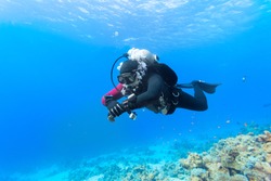 Scuba diver floating over coral reef in the Red Sea.
