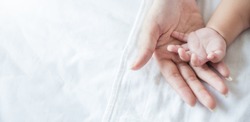 Asian parent hands holding newborn baby fingers, Close up mother's hand holding their new born baby. Love family day, healthcare and medical body part father's day concept panoramic banner