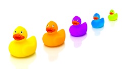 Colorful rubber ducks