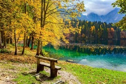 Picturesque wooden bench on the lake. The bright colors of the autumn forests are reflected in the icy water of the lake. Mountains covered in morning mist. The Lago Fusine 