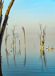 Lake Nakuru in central Kenya in East Africa. The ecosystem of the park is centered around a lake surrounded by meadows and forest thickets. Gentle sunlight of sunrise illuminates the flooded trees.