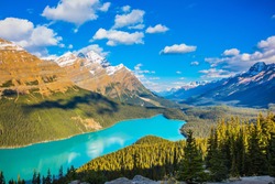Turquoise Lake Peyto in Banff National Park, Canada. Mountain Lake as a 