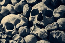 Wall of human bones and skulls in a catacomb