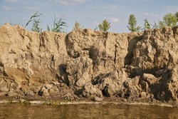 River shore eroding into the water
