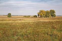 Dry grassy field in the country