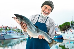 Fisher holding a big atlantic salmon fish in the fishing harbor