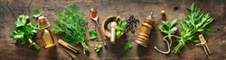 Panoramic background with bunches of fresh garden herbs, spices and kitchen utensils on rustic wooden table