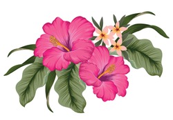 A cluster of tropical Hibiscus flowers with jungle leaves. Vector illustration.