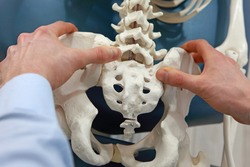 Demonstration of osteopathic techniques on the pelvis