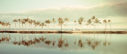 Vintage Tropical Hawaiian beach with coconut palm trees, morning blue sky and turquoise waters - panoramic view