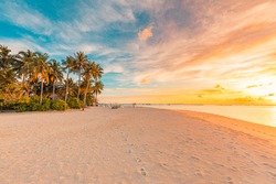 Tropical sea beach colorful sky sand sunset light. Relaxation landscape, horizon with palm trees and calm sea. Romantic couple seaside beach, shore coast nature. Gorgeous landscape, stunning sky view