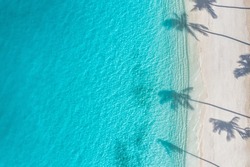 Beach palm trees on the sunny sandy beach and turquoise ocean from above. Amazing summer nature landscape. Stunning sunny beach scenery, relaxing peaceful and inspirational beach vacation template