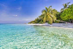 Beach nature concept. Palm beach in tropical idyllic paradise island. Exotic landscape for dreamy and inspire summer scenery use for background or wallpaper. Vacation destination seaside, amazing view