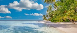 Beautiful island beach. Tropical landscape of scenic summer, white sand, palm trees, sea. Luxury travel vacation destination. Exotic beach coast sunny sky. Amazing nature relax freedom nature template