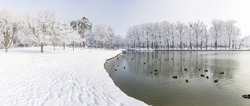 Idyllic winter lake panorama. Soft sunlight, icy lake water, tree silhouette with calm cold tones. Winter landscape, trail pathway in the snow. Ducks in pond in city park, panoramic snowy view